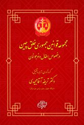 مجموعه قوانین جمهوری خلق چین در خصوص اطفال و نوجوانان